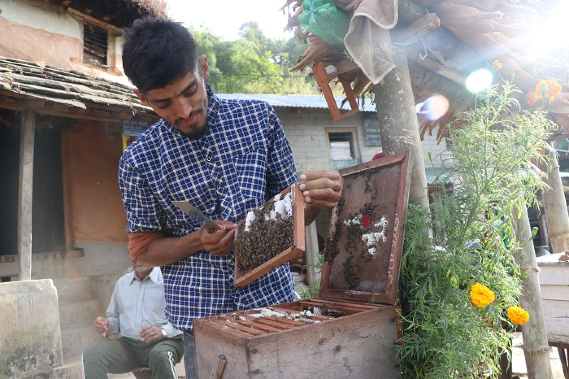 मौरीपालनबाट आम्दानी गर्दै तोगीका युवा